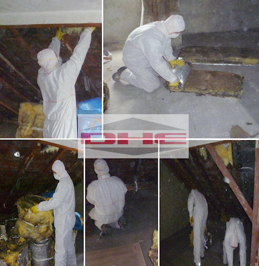 Schadstoffbeseitigung Asbest / KMF - DHE